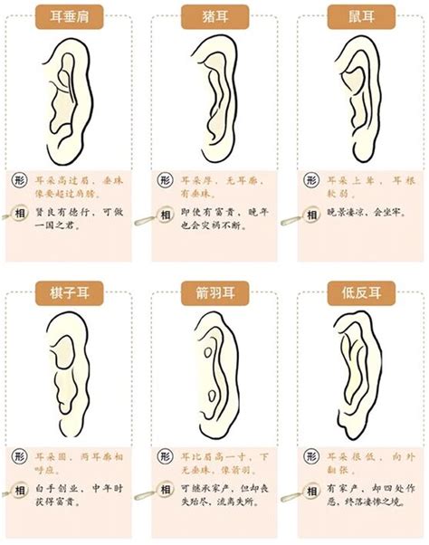 耳珠朝口 面相|16种耳相图解